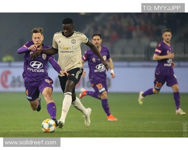 新城堡联队迎战珀斯期待精彩对决与激烈竞争 新城堡联队迎战珀斯期待精彩对决与激烈竞争