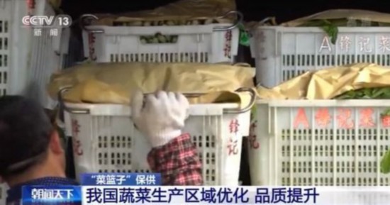 淡季不淡！蔬菜供应总体充足多米体育价格大幅上涨可能性不大(图3)