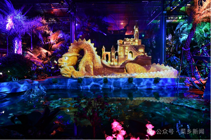 多米体育第二十五届中国（寿光）国际蔬菜科技博览会开幕(图7)