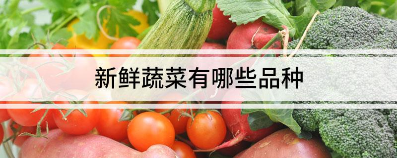 多米体育网址新鲜蔬菜有哪些品种(图1)