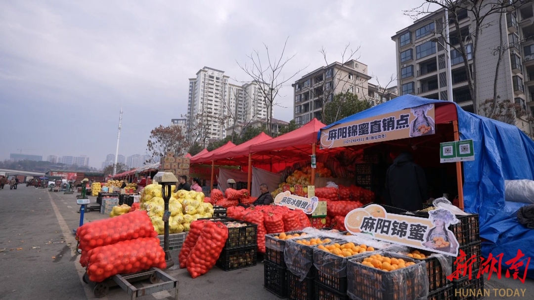 佳惠水果公园迎来销售旺季(图2)