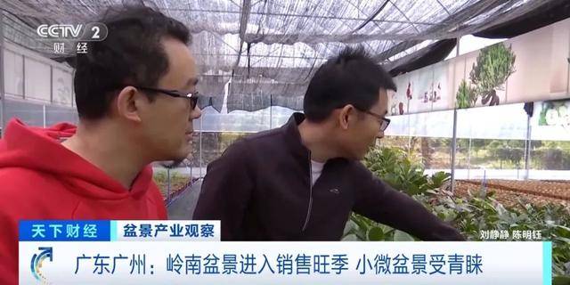 火多米体育下载了销量暴涨246%(图4)