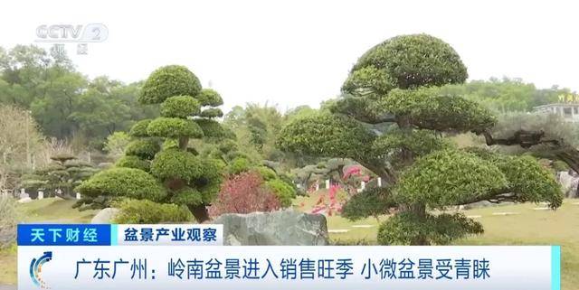火多米体育下载了销量暴涨246%(图3)