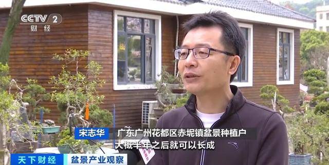 火多米体育下载了销量暴涨246%(图5)