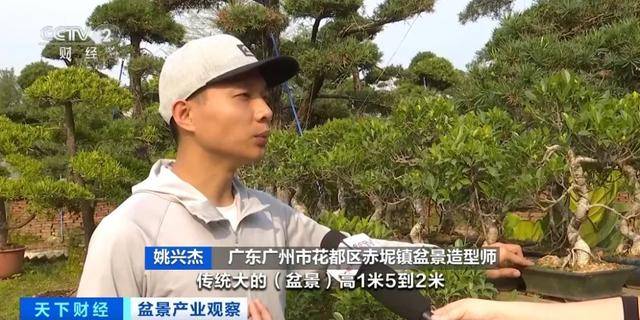 火多米体育下载了销量暴涨246%(图7)