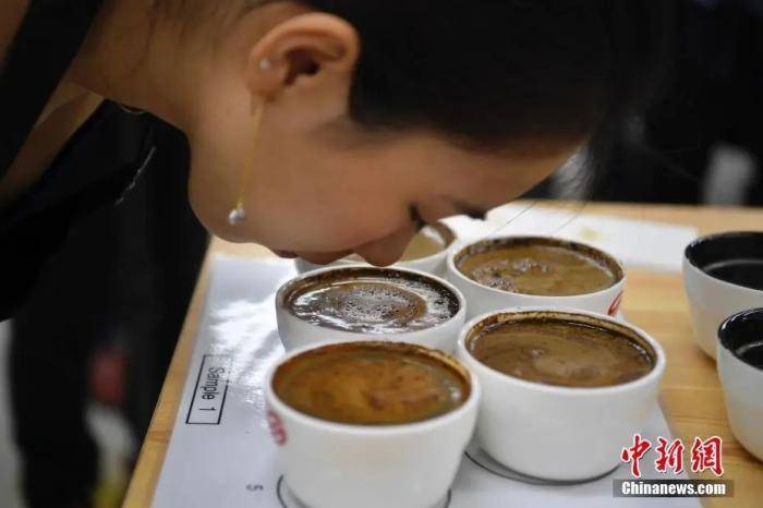 一座为茶命名的城市成了“多米体育平台中国咖啡之都”(图7)