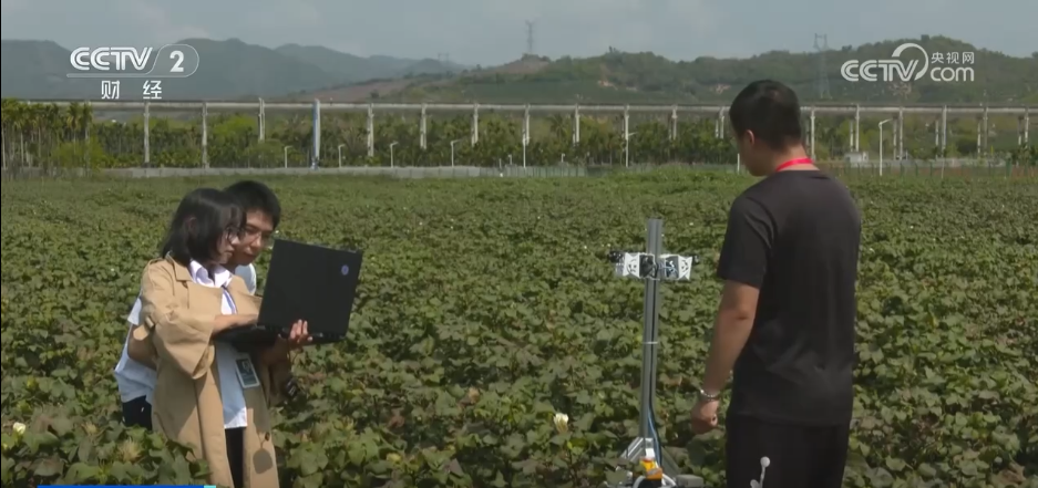 “AI+传统育种” 让农业种植插上智慧“翅膀”(图2)