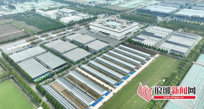 多米体育入口一粒种子的“绿游记”(图10)