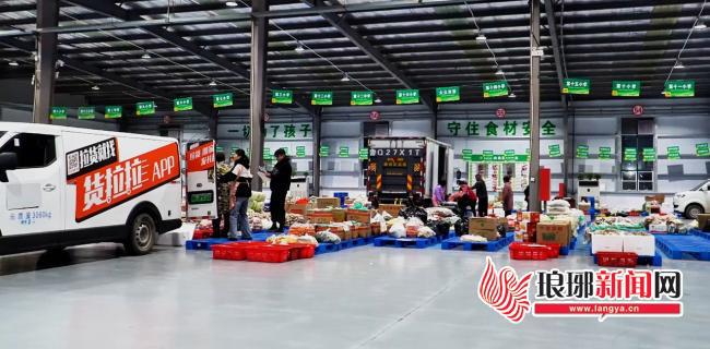 多米体育入口一粒种子的“绿游记”(图16)