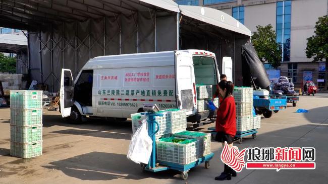 多米体育入口一粒种子的“绿游记”(图15)