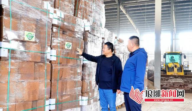 多米体育入口一粒种子的“绿游记”(图14)