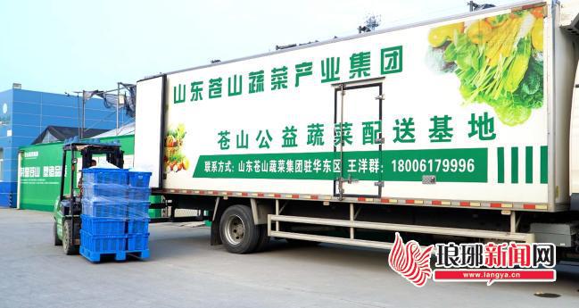 多米体育入口一粒种子的“绿游记”(图13)
