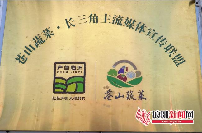 多米体育入口一粒种子的“绿游记”(图12)