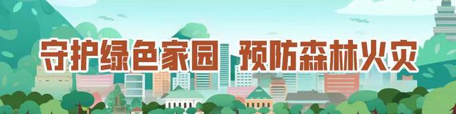 菜价又降了(图5)