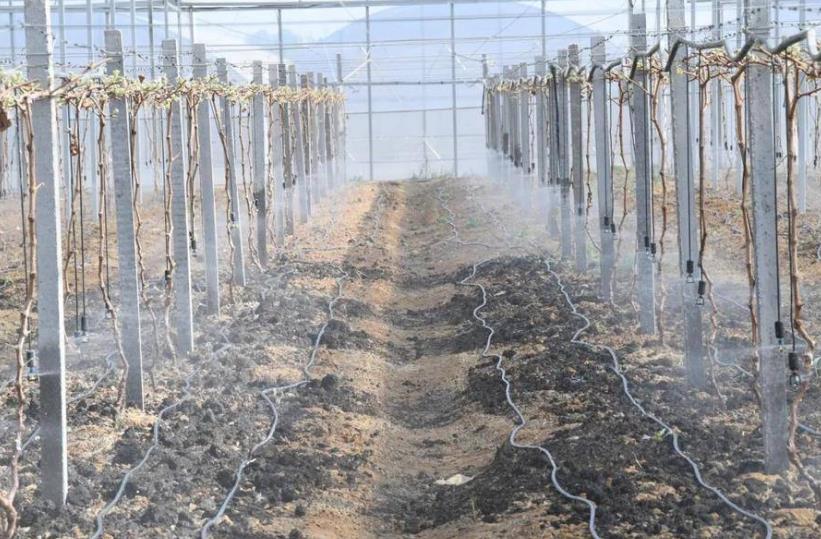 主打科技范合肥蜀山智慧平台“种”进田间(图3)
