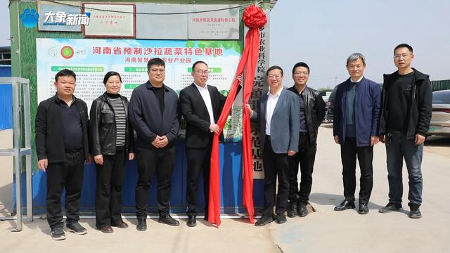 新乡平原示范区：特色种植打造农谷“蔬菜小镇”多米体育下载(图3)