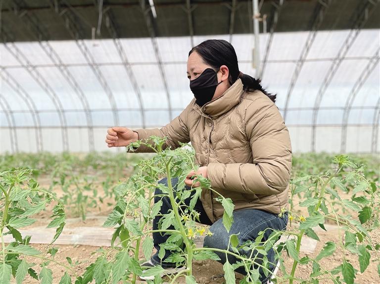 多米体育网址抢抓农时 用劳动绘就动人图景 安宁区春耕备耕工作正有序开展新华网(图1)