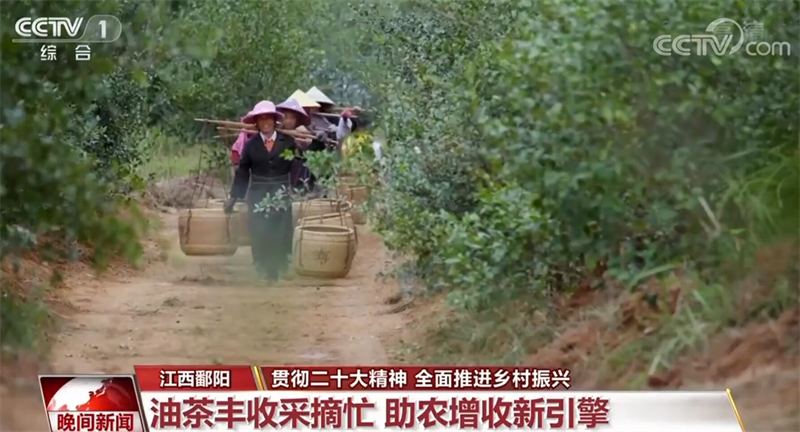贯彻二十大精神 各地全面推进乡村振兴(图1)