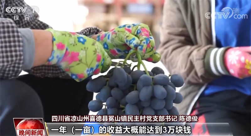 贯彻二十大精神 各地全面推进乡村振兴(图4)