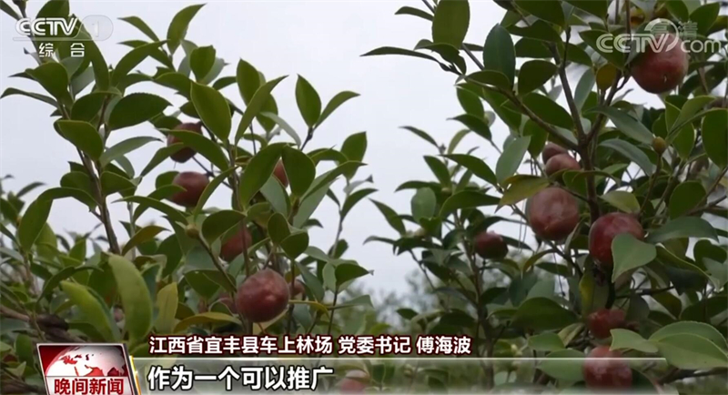 贯彻二十大精神 各地全面推进乡村振兴(图2)