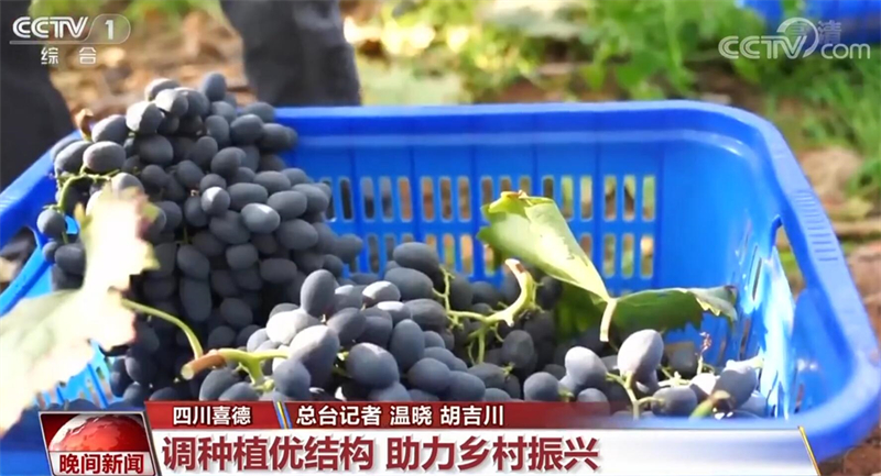 贯彻二十大精神 各地全面推进乡村振兴(图3)