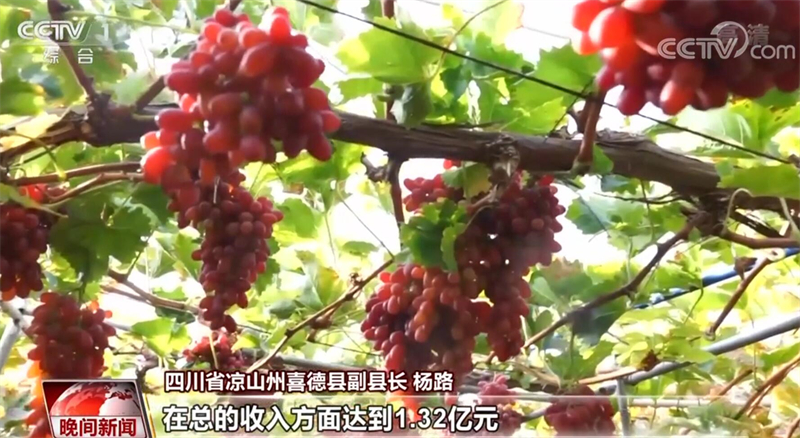 贯彻二十大精神 各地全面推进乡村振兴(图5)