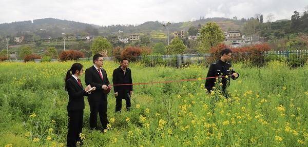 多米体育平台法治春风拂面来(图2)