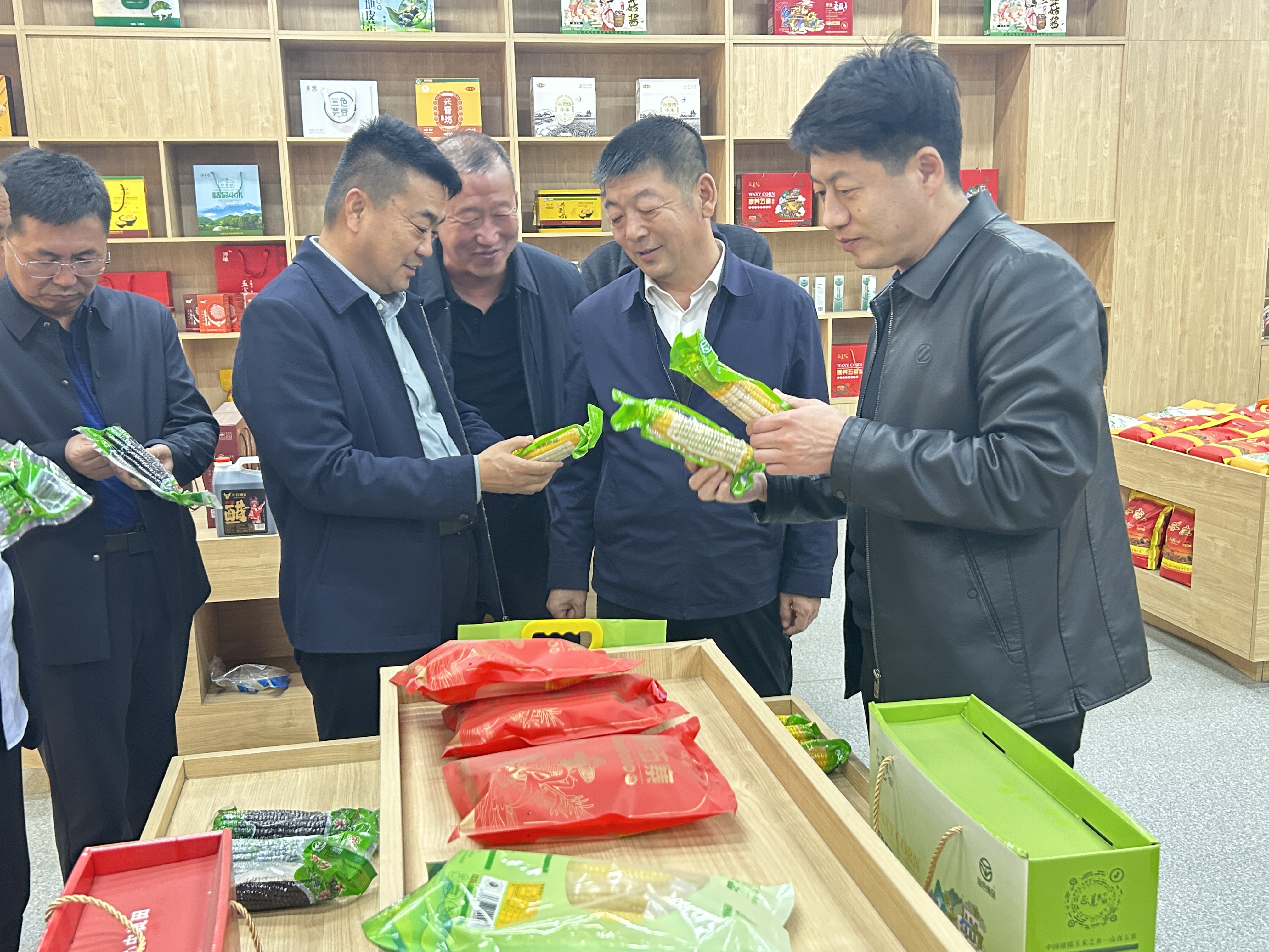 陕晋农业协作再添新篇：府谷县与五寨县签订糯玉米订单种植合作协议多米体育下载(图2)