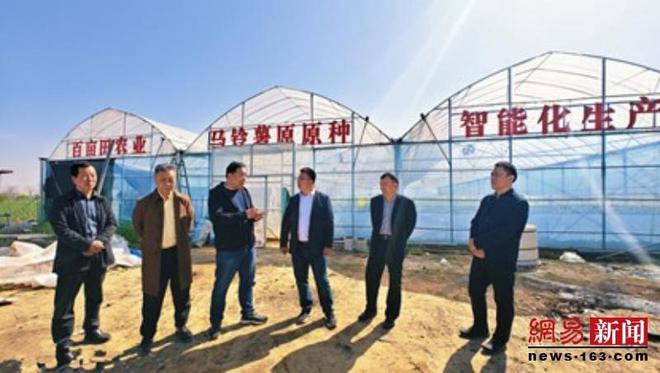 多米体育官网临颍：马铃薯空中培育新技术绽放光彩(图6)