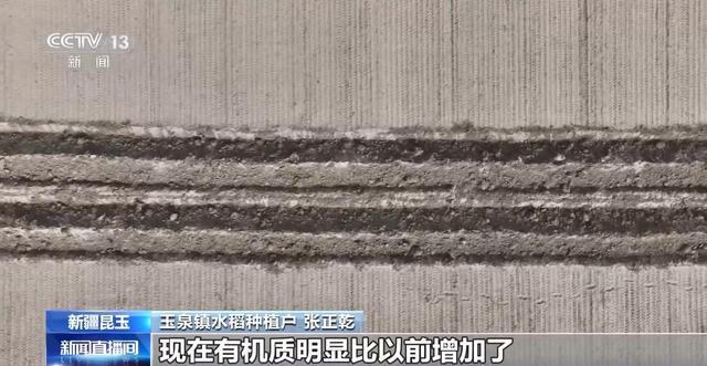 沙漠里也能种水稻？揭秘沙漠旱地播种技术(图3)