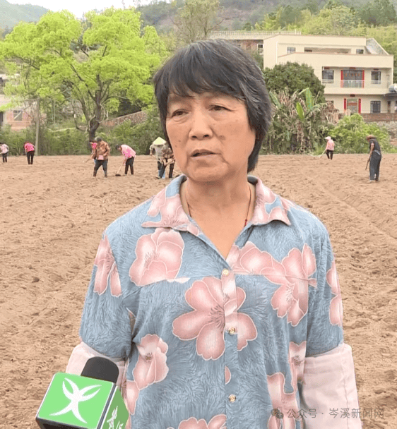 大隆镇→多米体育平台“一粒花生三重奏”(图4)