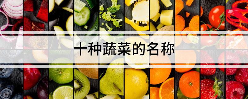多米体育下载十种蔬菜的名称(图1)