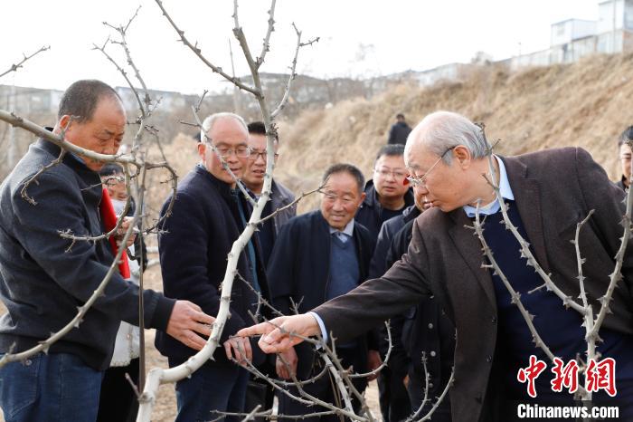 甘肃高校联合农科专家聚“椒”送培 “智”援乡村(图1)