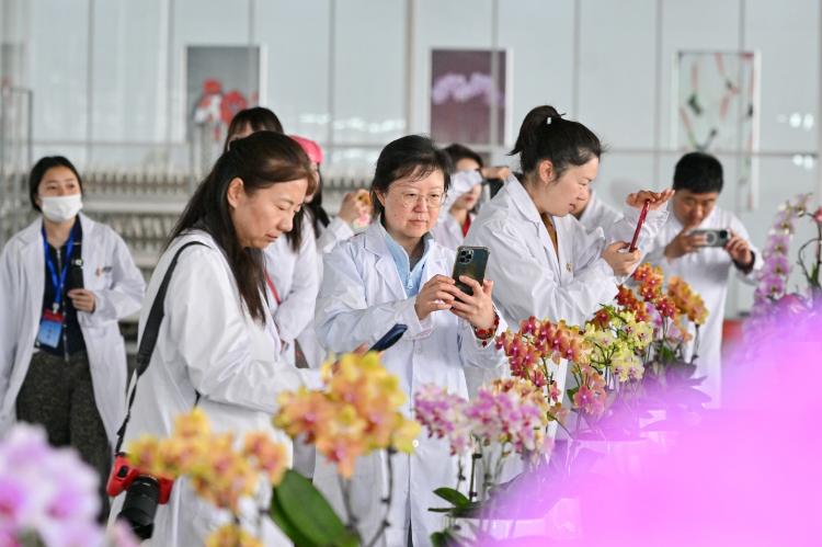 万千气象看山东丨网络名人走进兰陵：“科技范”拉满农业大县华丽蝶变(图1)