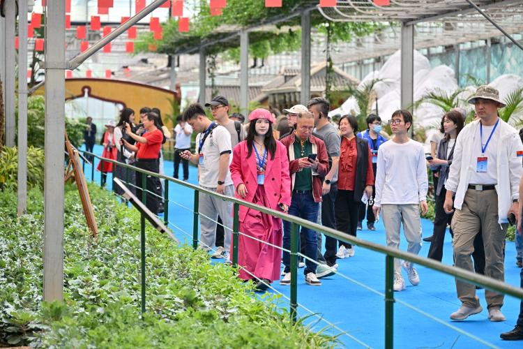 万千气象看山东丨网络名人走进兰陵：“科技范”拉满农业大县华丽蝶变(图3)