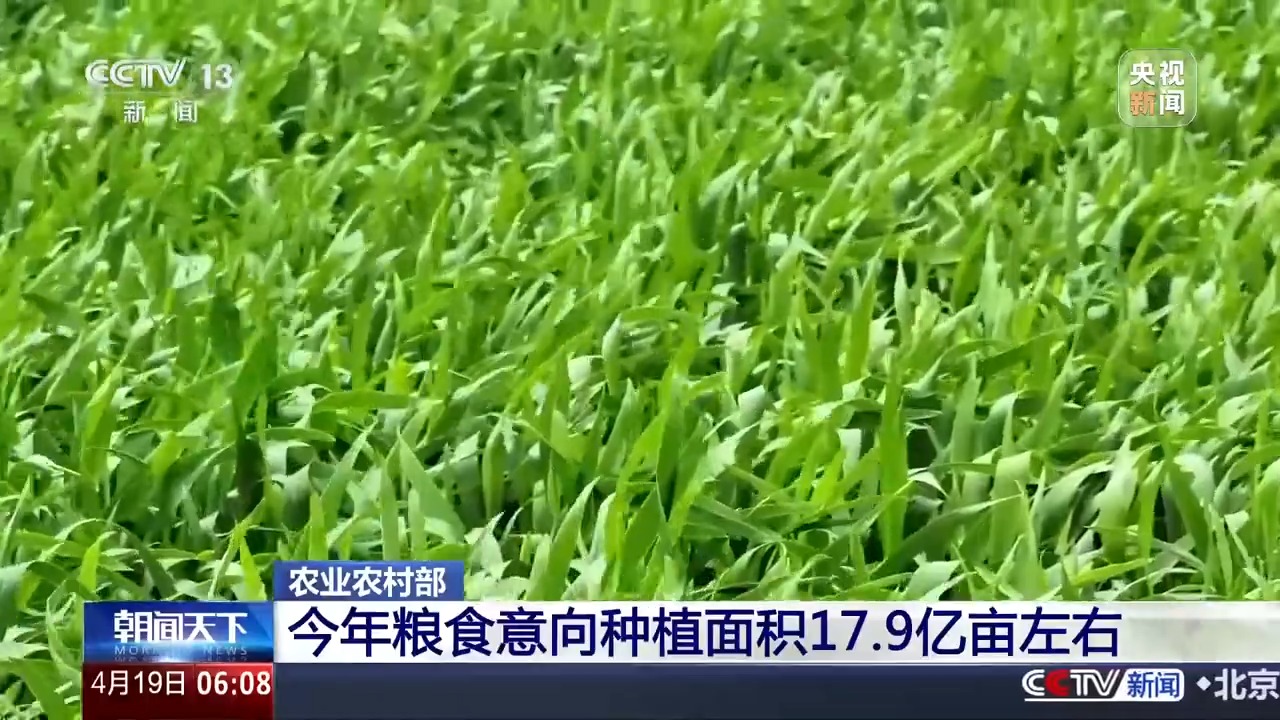 粮食意向种植面积约179多米体育下载亿亩 全国春播进度条更新→(图1)