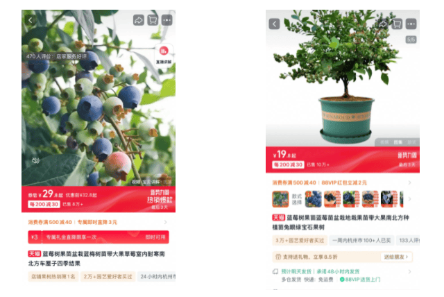 多米体育网址蔬菜盆栽成“春季爆品”月卖60000盒(图4)
