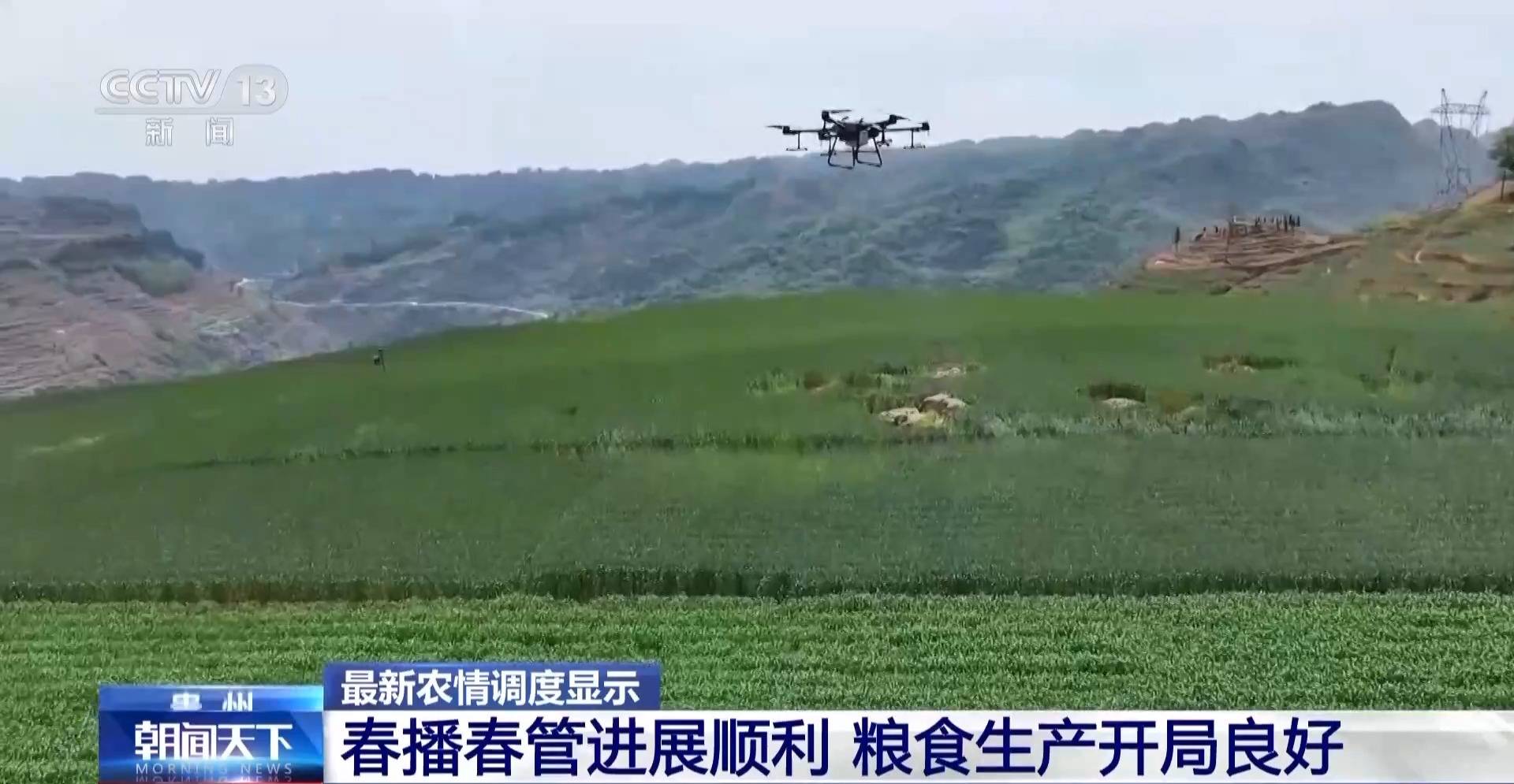 全国粮食生产开局良好 冬小麦多米体育官网将迎来大面积收获(图2)
