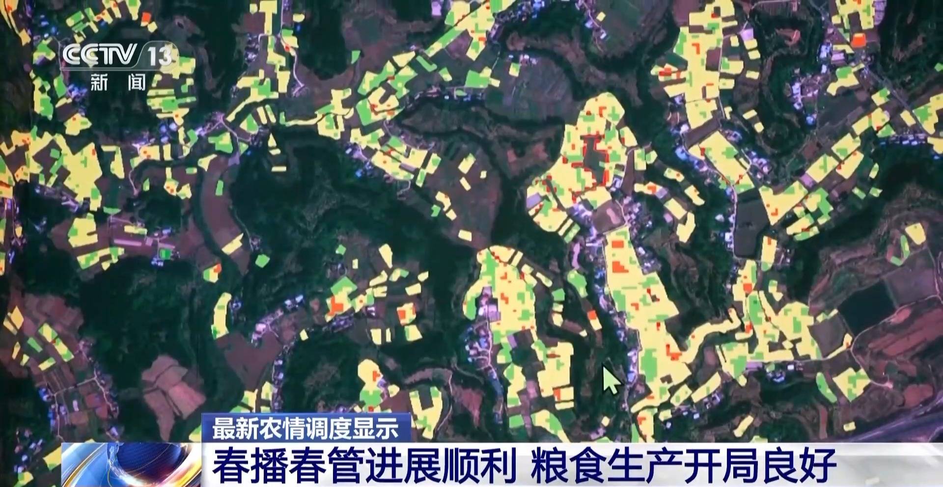 全国粮食生产开局良好 冬小麦多米体育官网将迎来大面积收获(图3)