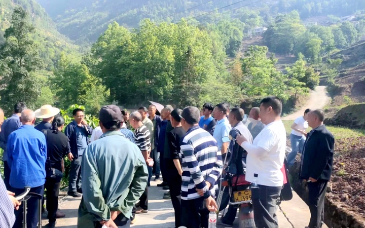 贵州多米体育平台省农科院专家为土城柚子种植支招(图2)
