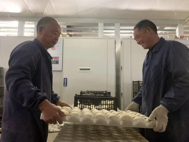 培“特”育“新”产业兴多米体育入口农(图3)