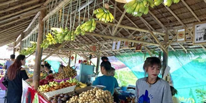 泰国大量水果腐烂因为摊上的一句中文中国游客：自己留着吧(图23)