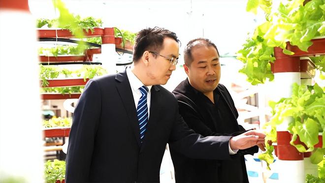 睢县农信社：金融多米体育下载“活水”浇灌特色种植 赋能乡村振兴新图景(图3)
