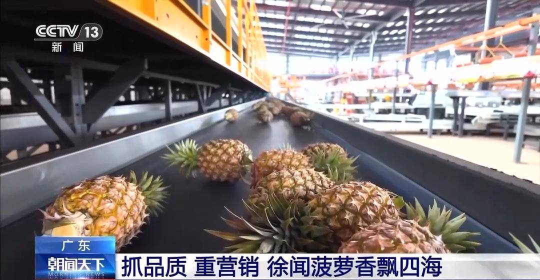 南粤之窗丨水果大多米体育网址省的“新出路”(图2)