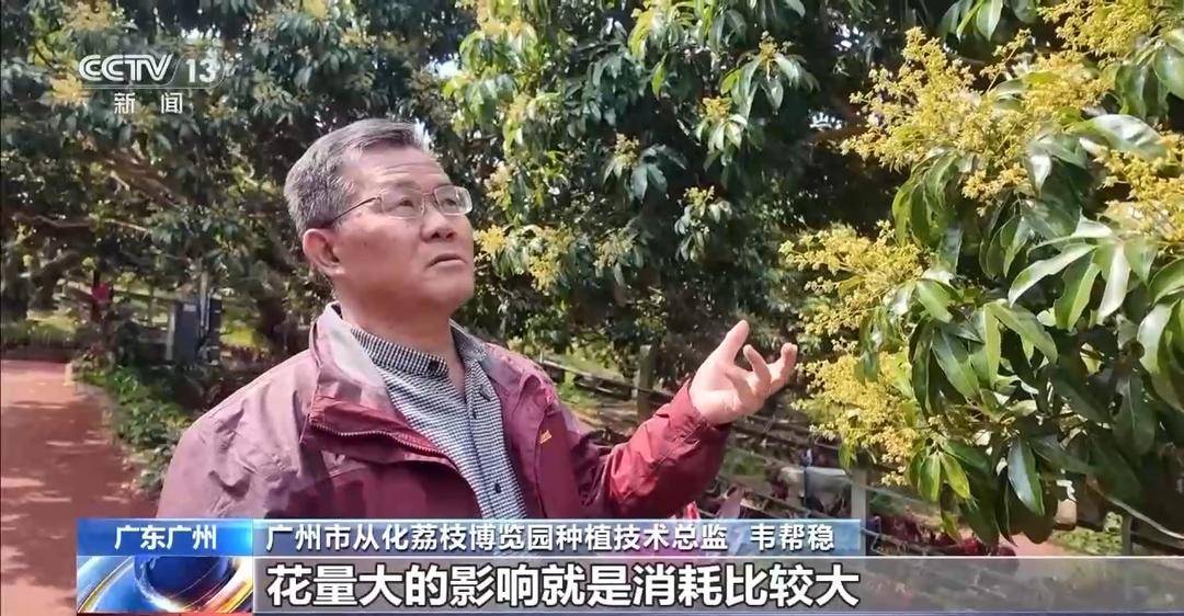 南粤之窗丨水果大多米体育网址省的“新出路”(图7)